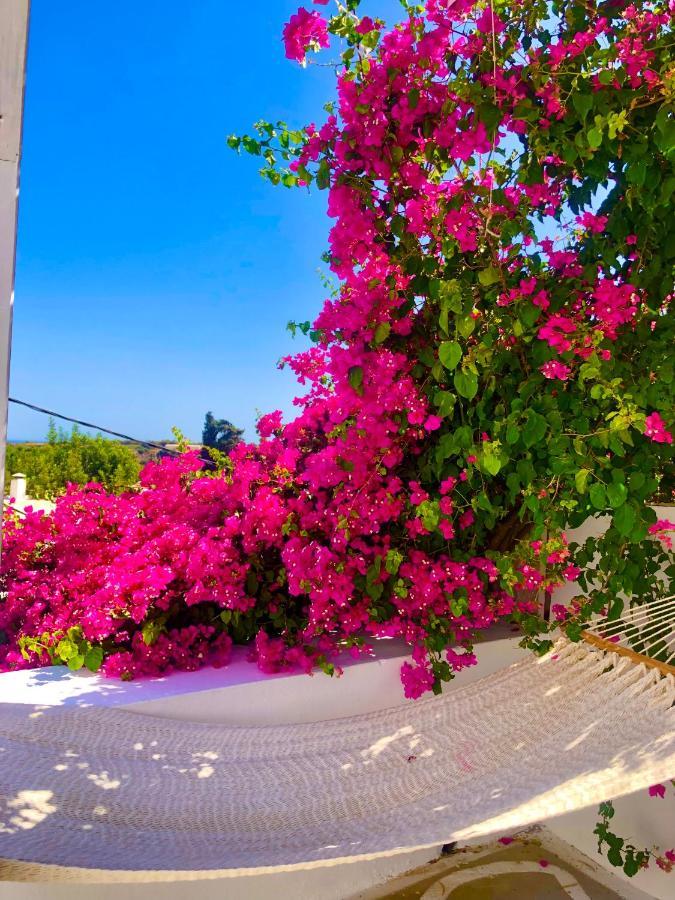 The Summer Pink House Lakhaniá Exterior foto